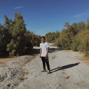 Meet your Posher, Vincent